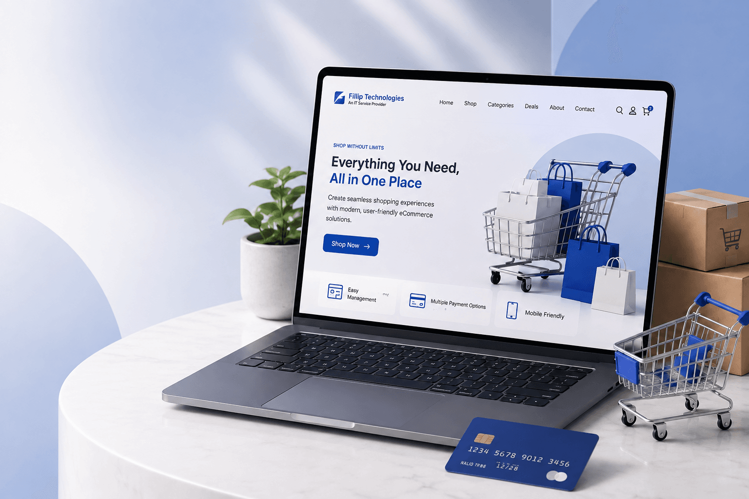 E-Commerce Development